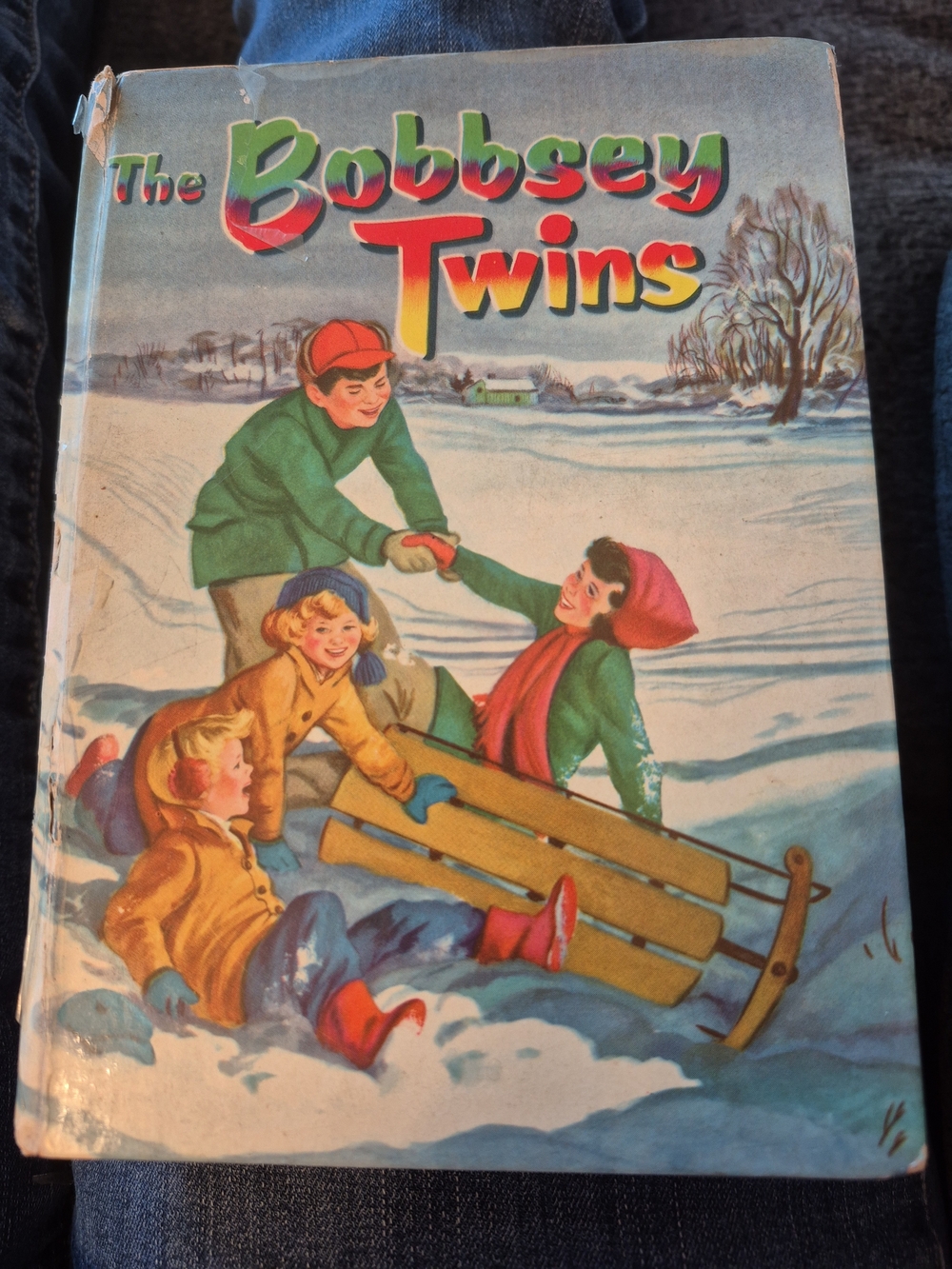 The Bobbsey Twins Vintage Children’s Book - Green & Red Cover